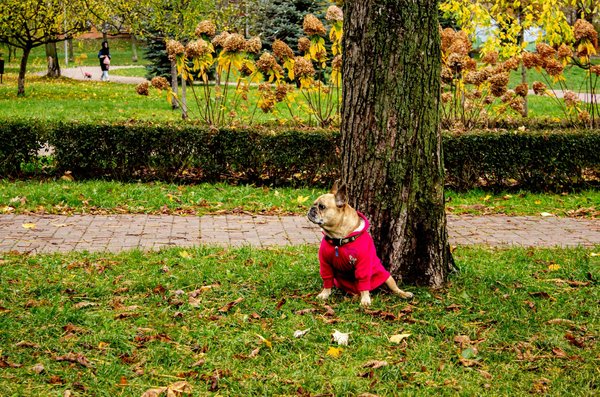 L'hépatite C : Comprendre son impact chez les seniors
